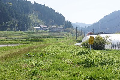 看板によりここに線路があったことがわかります