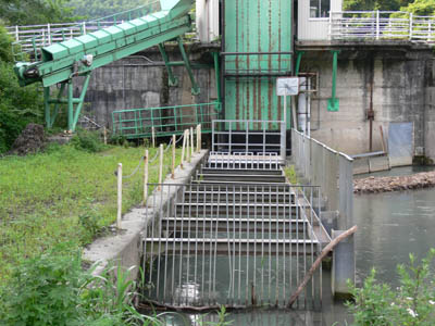 取水口