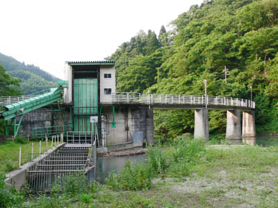 上流から堤体全景