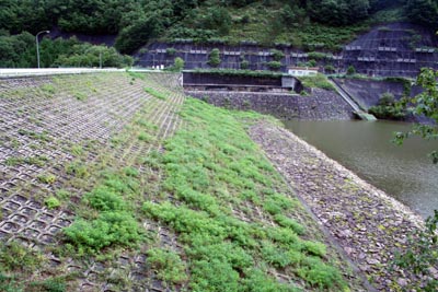 左岸から堤体上流側を見る