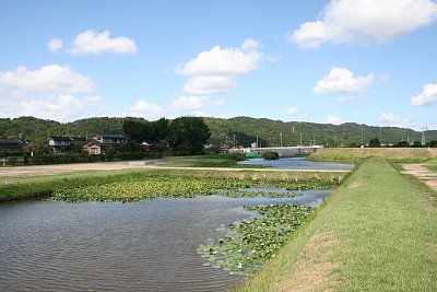 二の丸土塁から見た右郭と内堀、土橋、本丸