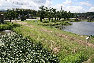 二の丸と城外を結ぶ土橋