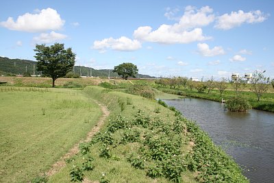 二の丸東側の土塁と外堀