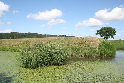 本丸土塁と内堀