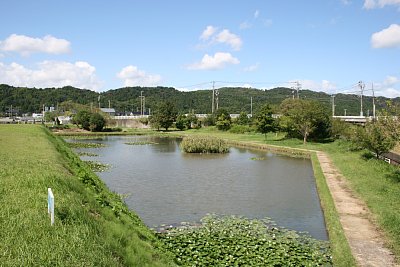 本丸北東部の外堀が一部消失しています