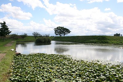 本丸北側の外堀と本丸土塁