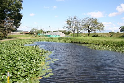 右郭西側の外堀と右郭