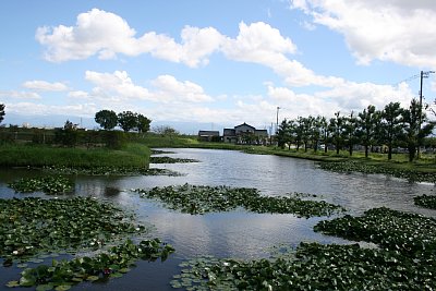 右郭南西側の外堀