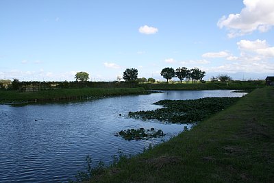 城の南側の外堀もかなりの幅です