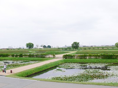 安田城跡