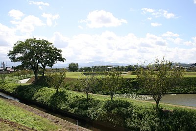 歩道側から本丸を見る