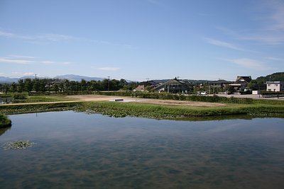 歩道側から本丸を見る