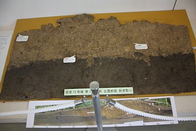 百塚遺跡から発掘された土層断面