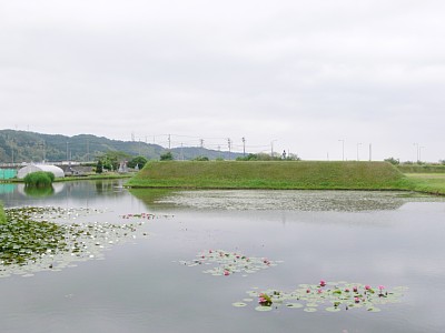 安田城本丸土塁と内濠