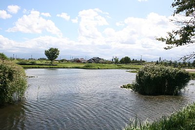 右郭北側から見た二の丸全景