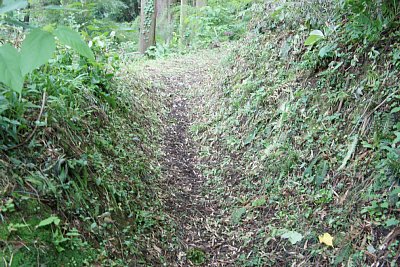 登城道の両側に土塁が