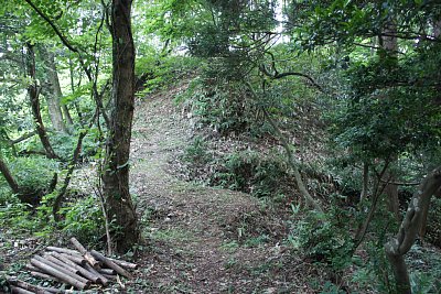 本丸手前の堀切と古池