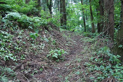 登城道は何度もカーブしながら急こう配で続きます