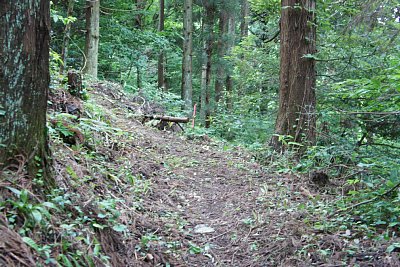 登城道はかなりの勾配があります