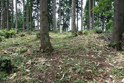 主郭はかなり広い削平地です