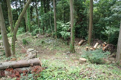 主郭から一段低い郭は馬小屋だったとの言い伝えが