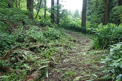 急な坂道を登っていきます