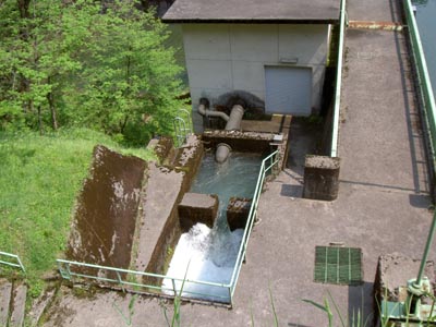 排水口かな・・・