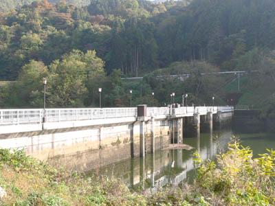堤体を左岸上流から見る