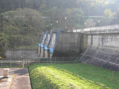 左岸から堤体を見る