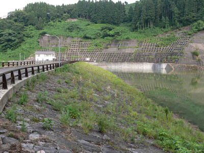 左岸から堤体上流側を望む