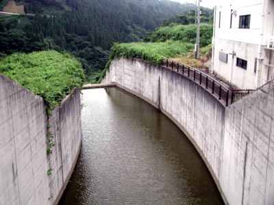 導流部