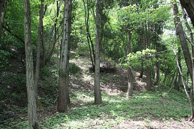 ここが西側の山の斜面です