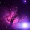 �m�f�b�Q�O�Q�S�N���X�}�X�c���[���_